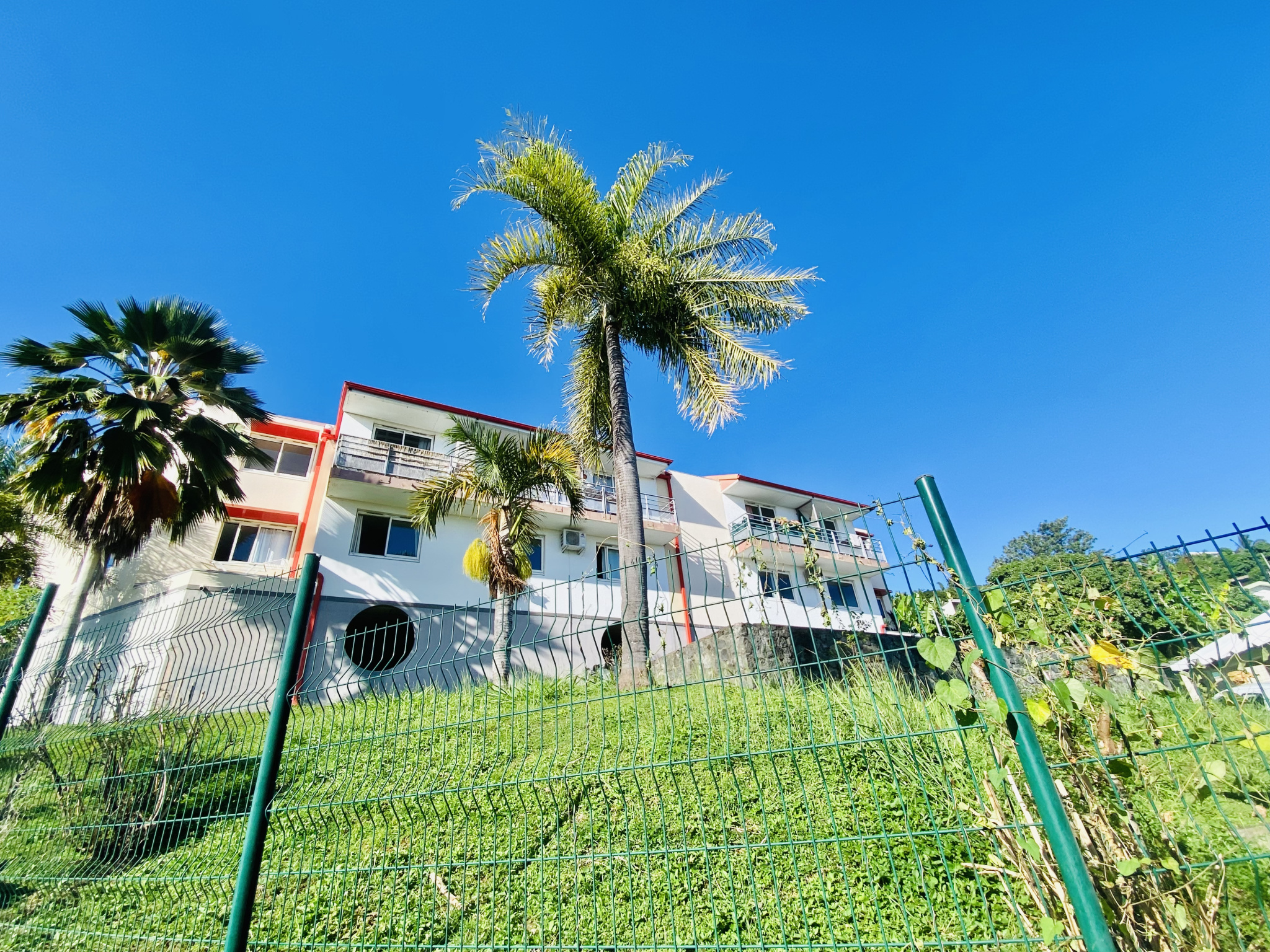 STUDIO libre Janvier 2024 20m2 CENTRAL FAC 97490 - 1