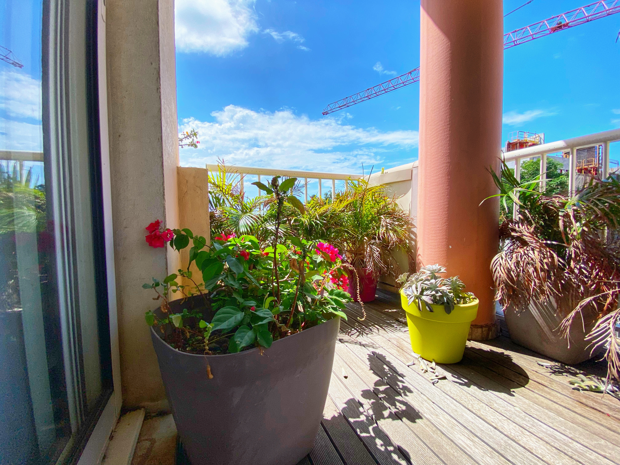 Appartement T3 libre - petite terrasse - 1 parking - Sainte-clotilde - 1