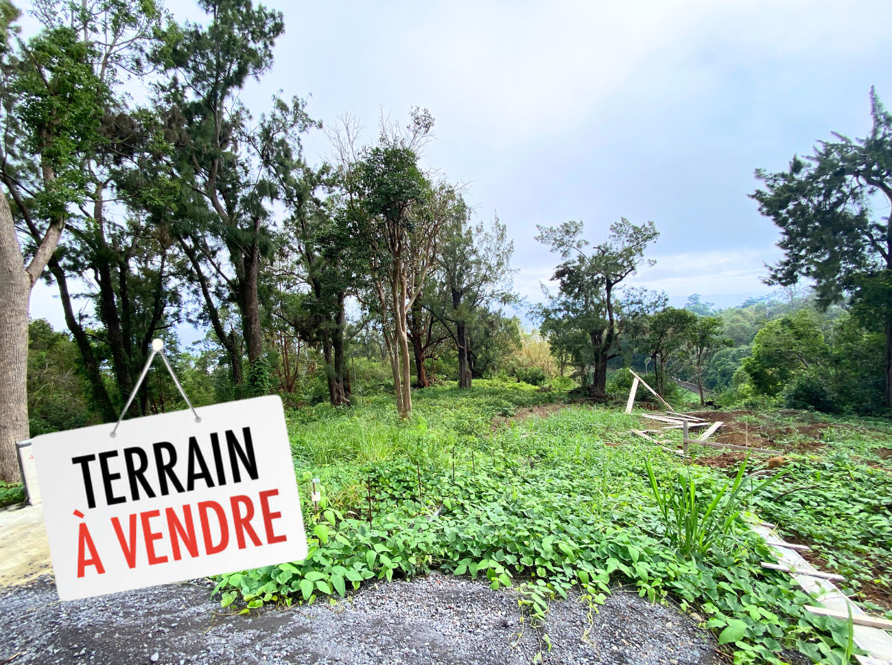 TERRAIN SAINT-FRANÇOIS 1 124m2 constructible - 1