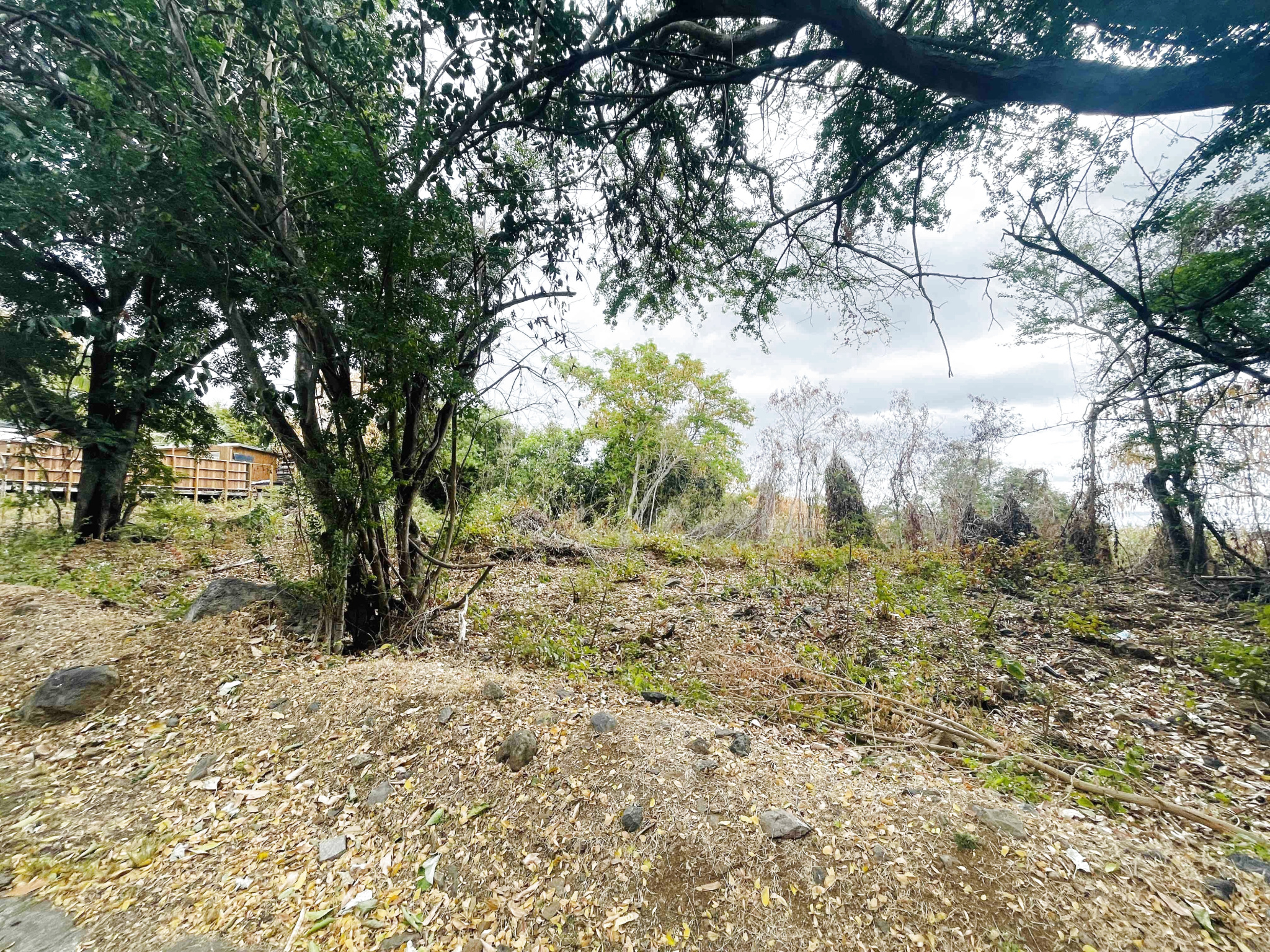 LA POSSESSION (BOEUF MORT) - TERRAIN À BÂTIR 2 595 m2 CONSTRUCTIBLES - 1