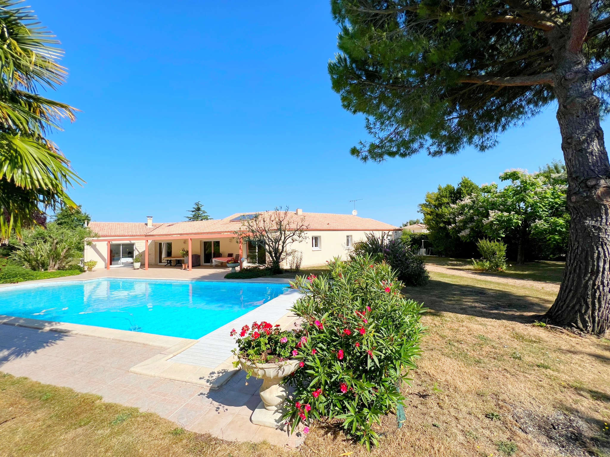 FORS - MAISON DE PLAIN-PIED T5 AVEC PISCINE - terrain divisible - 1