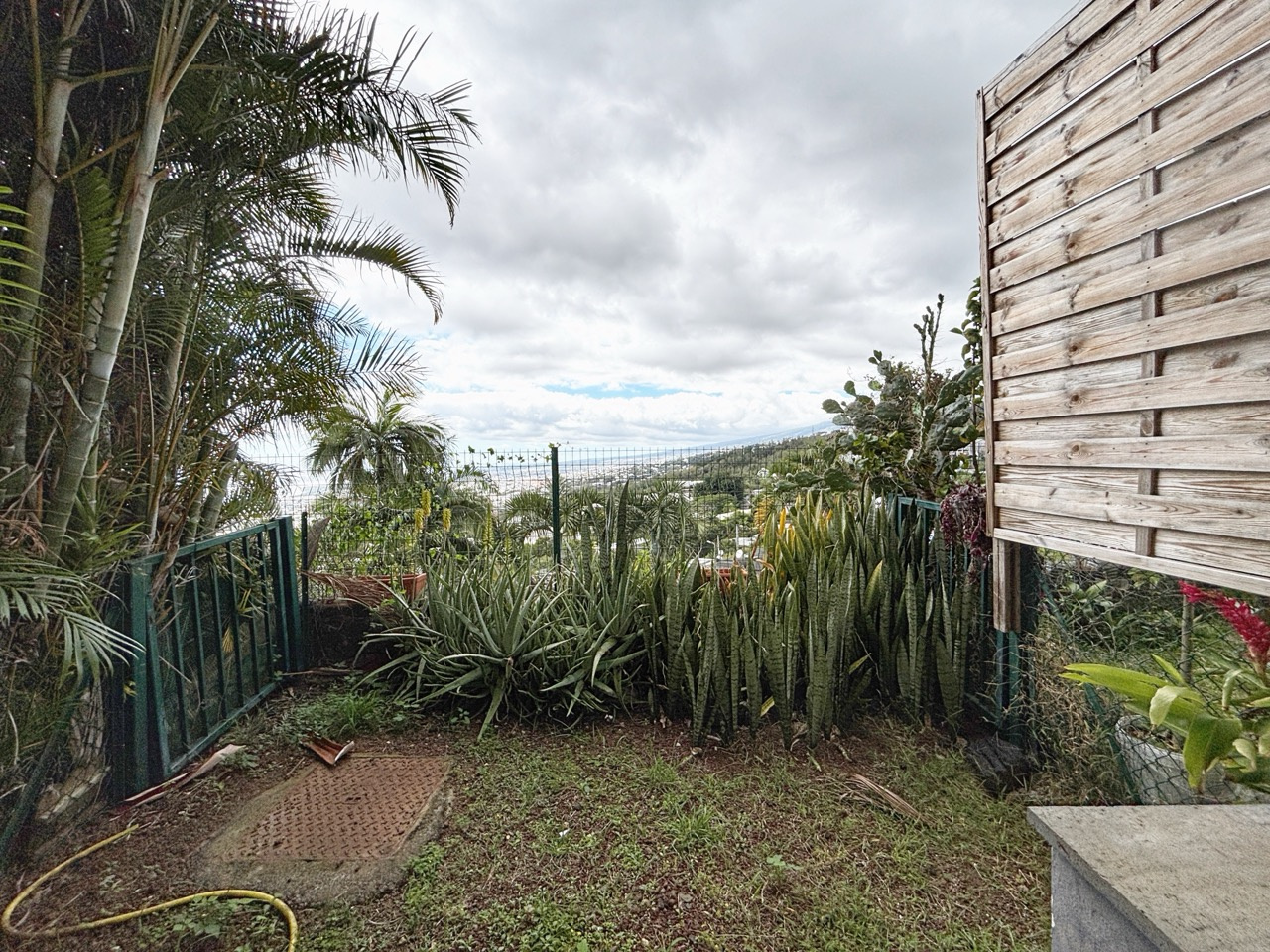 SAINT DENIS (REUNION) (BELLEPIERRE) - STUDIO AVEC JARDIN - 1